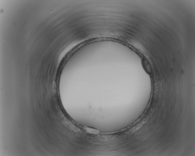 X0000062850928200601272037