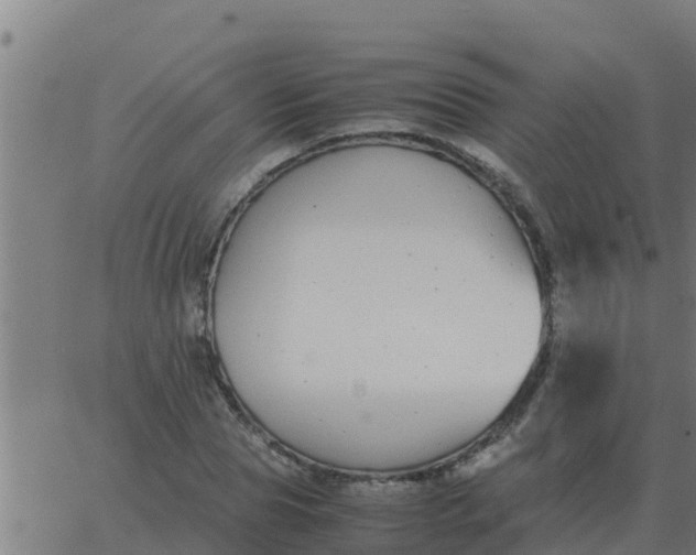 X0000062850929200601272037