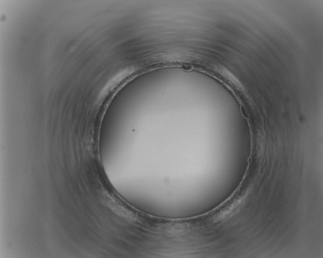 X0000062850930200601272037