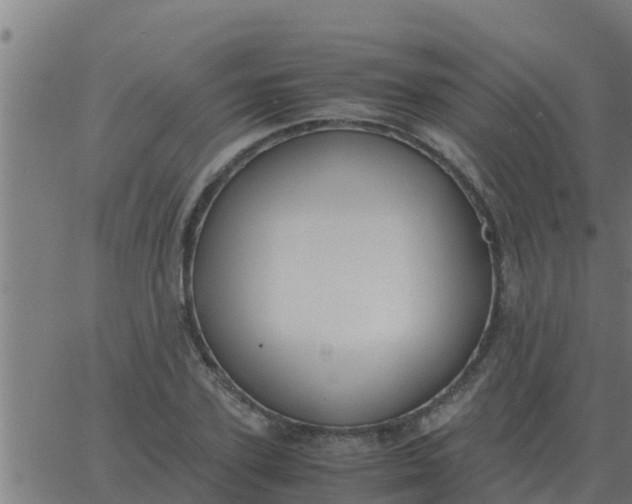 X0000062850931200601272037