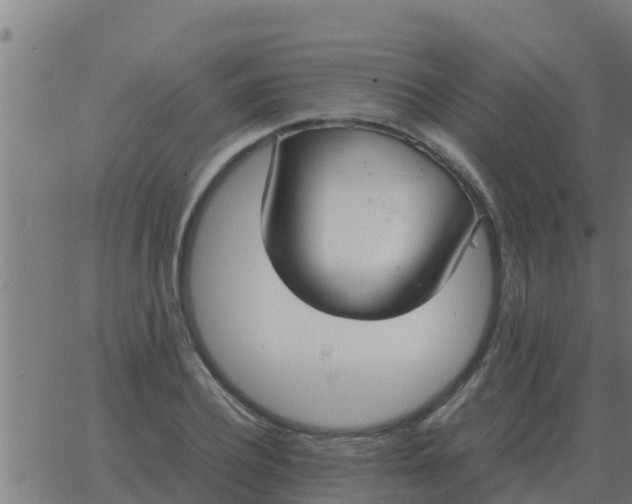 X0000062850932200601272038