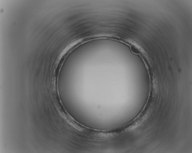 X0000062850933200601272038