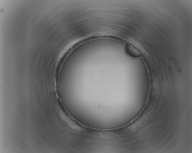 X0000062850934200601272038