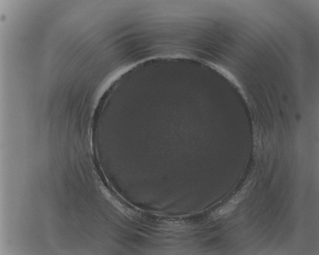 X0000062850935200601272038