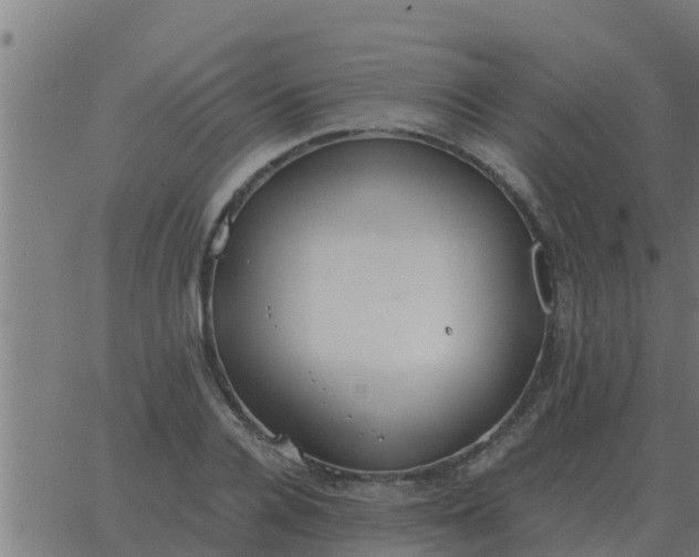 X0000062850936200601272038