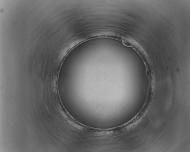 X0000062850937200601272038