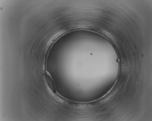 X0000062850938200601272038