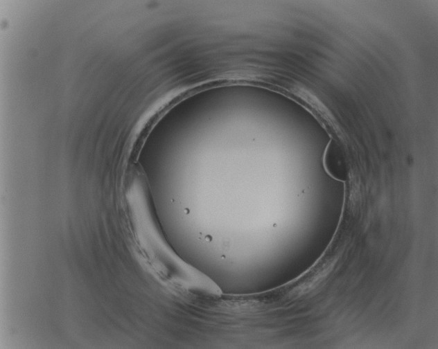 X0000062850939200601272038