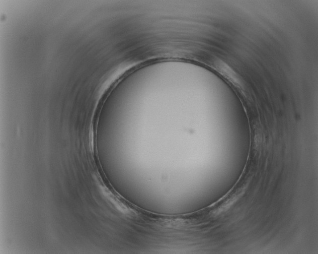 X0000062850940200601272038