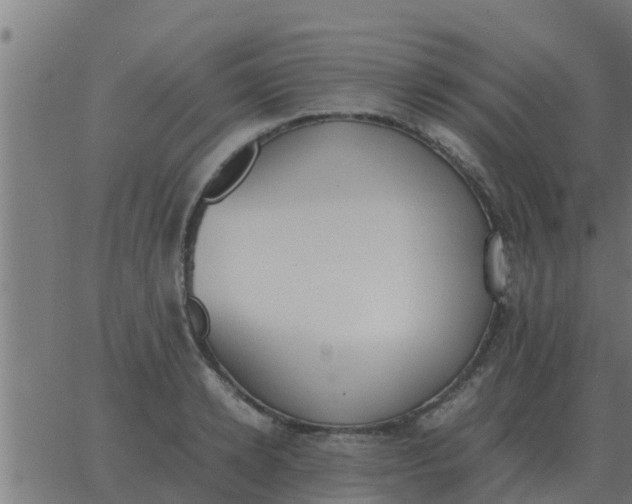 X0000062850942200601272038