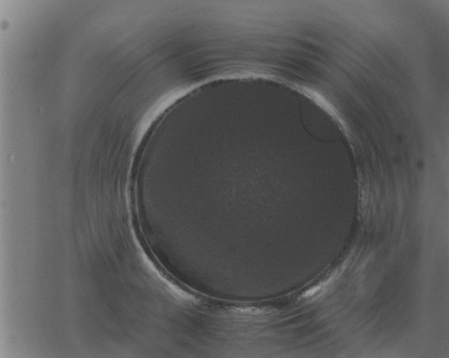 X0000062850943200601272038