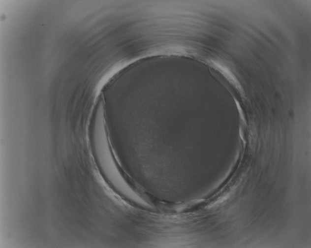 X0000062850944200601272038