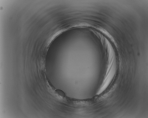 X0000062850945200601272038