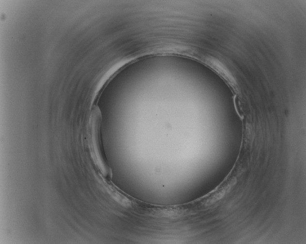 X0000062850948200601272038