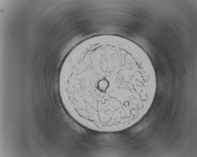 X0000062850950200601272038