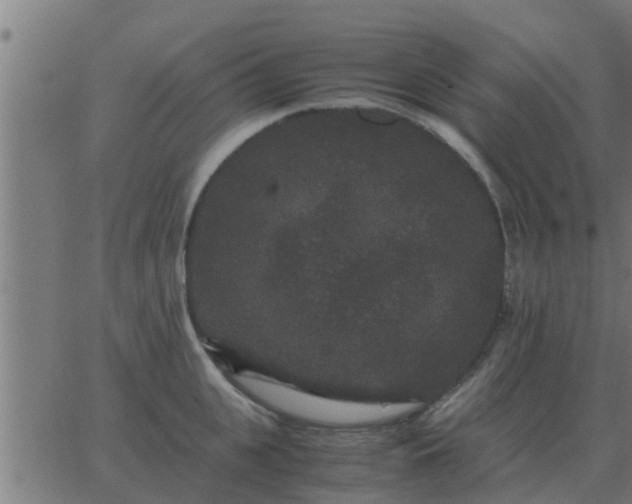 X0000062850951200601272038