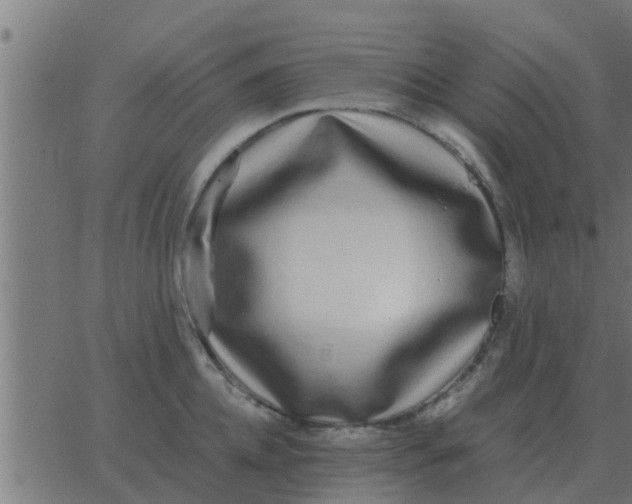 X0000062850952200601272038