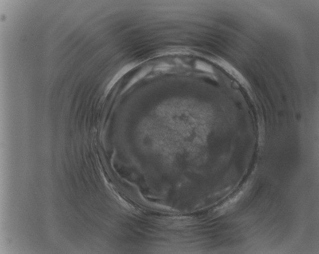 X0000062850953200601272038