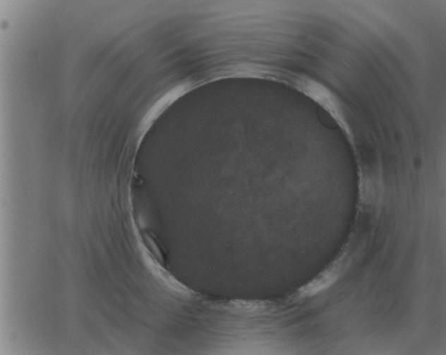 X0000062850954200601272038