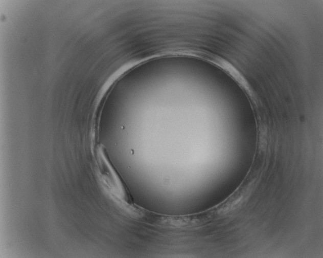 X0000062850955200601272038