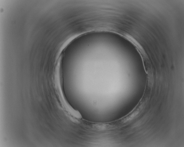 X0000062850956200601272038