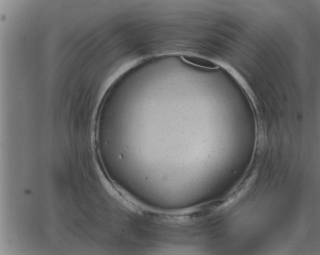 X0000062850957200601272038