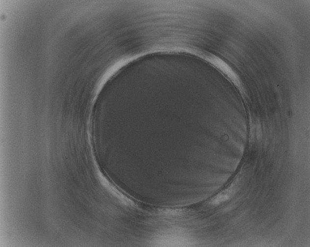 X0000062850958200601272038