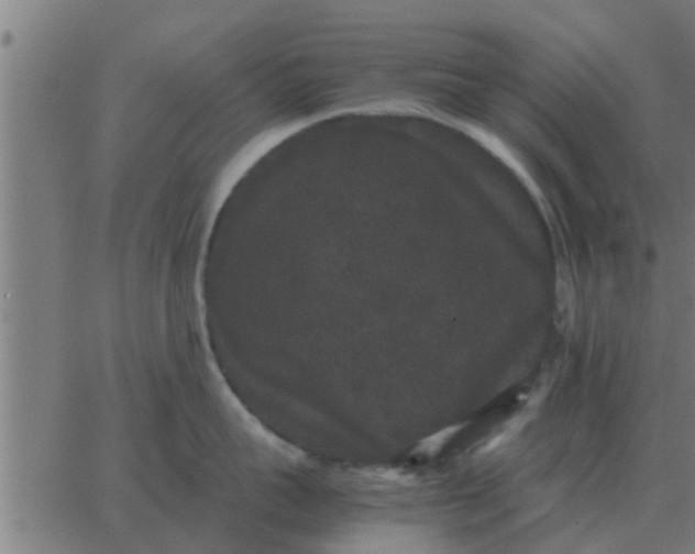 X0000062850959200601272038