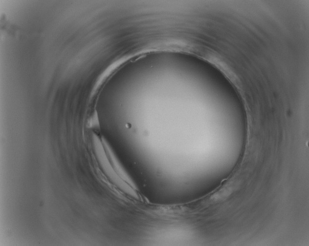 X0000062850960200601272038