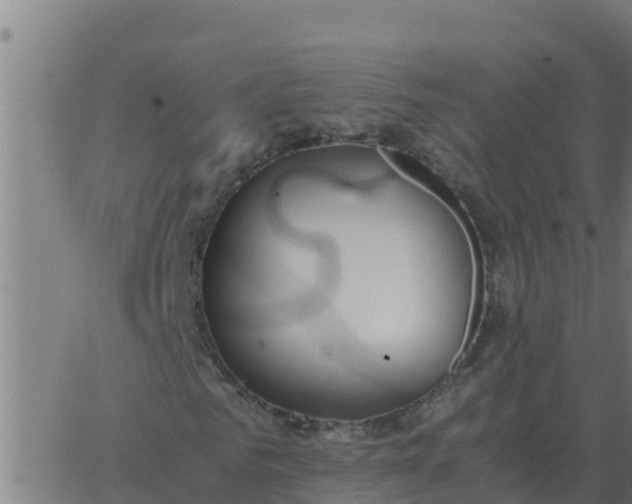 X0000062850961200601272037