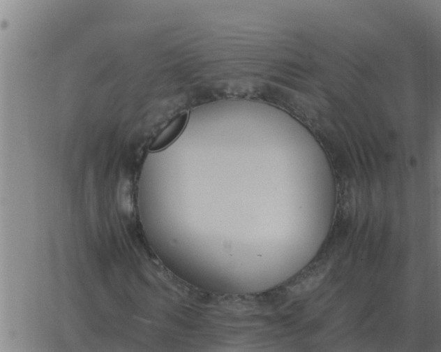 X0000062850962200601272037