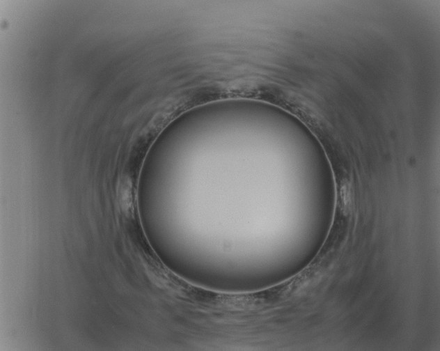 X0000062850963200601272037