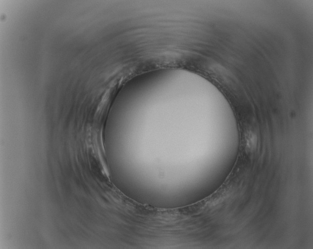 X0000062850964200601272037