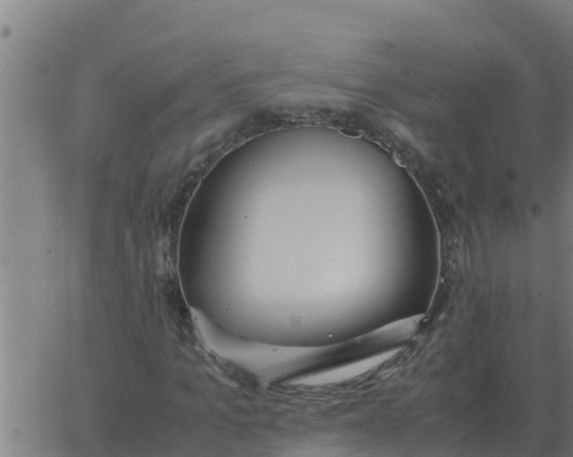 X0000062850965200601272037