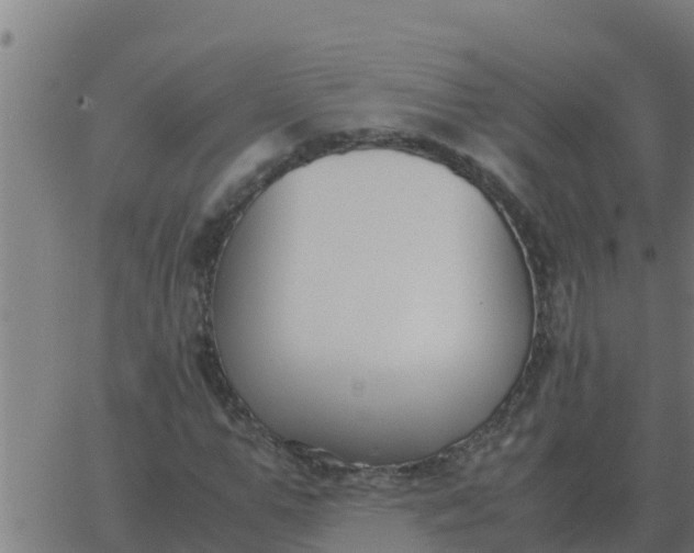 X0000062850967200601272037