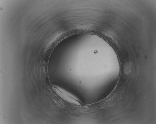 X0000062850968200601272037