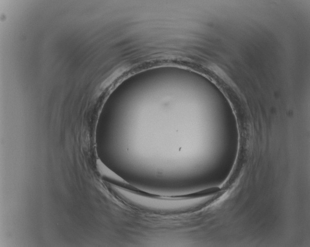 X0000062850969200601272037