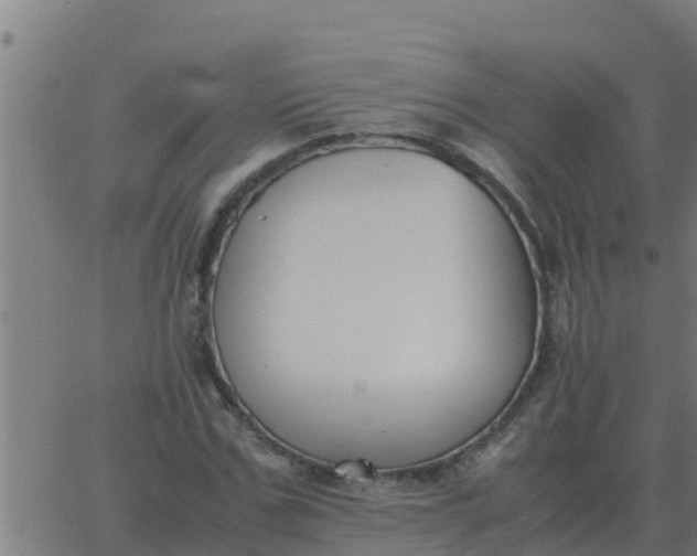 X0000062850971200601272037