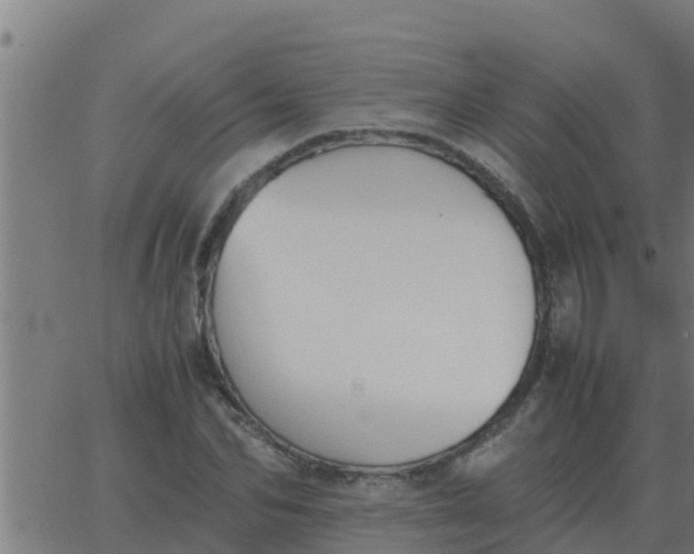 X0000062850974200601272037