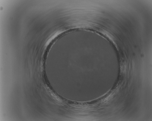 X0000062850975200601272037