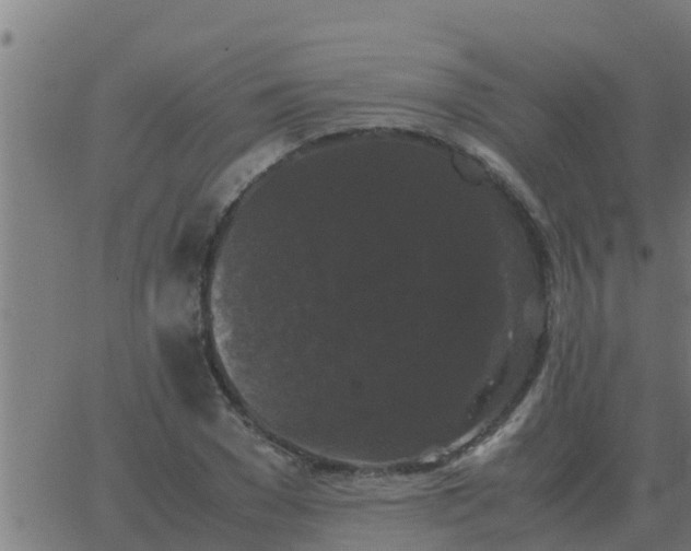 X0000062850977200601272037