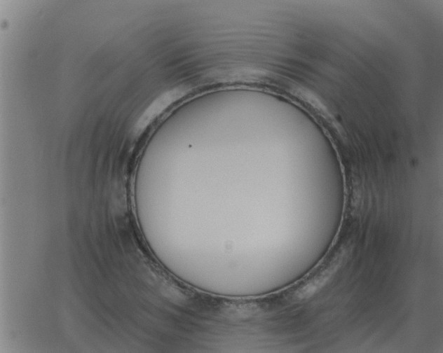 X0000062850978200601272037