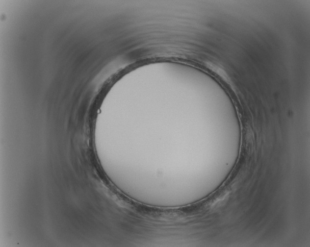 X0000062850979200601272037