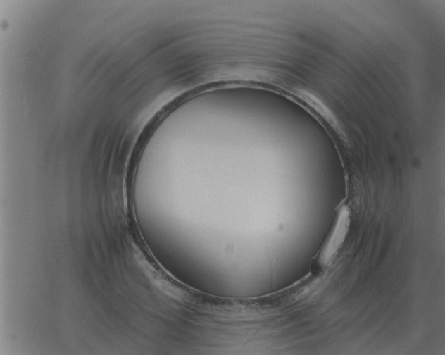 X0000062850980200601272037