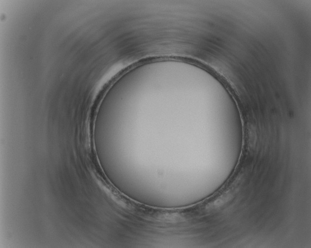 X0000062850982200601272037