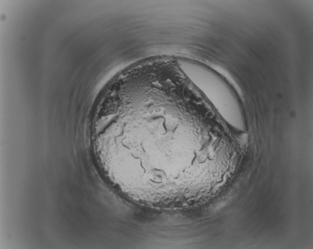 X0000062850983200601272037