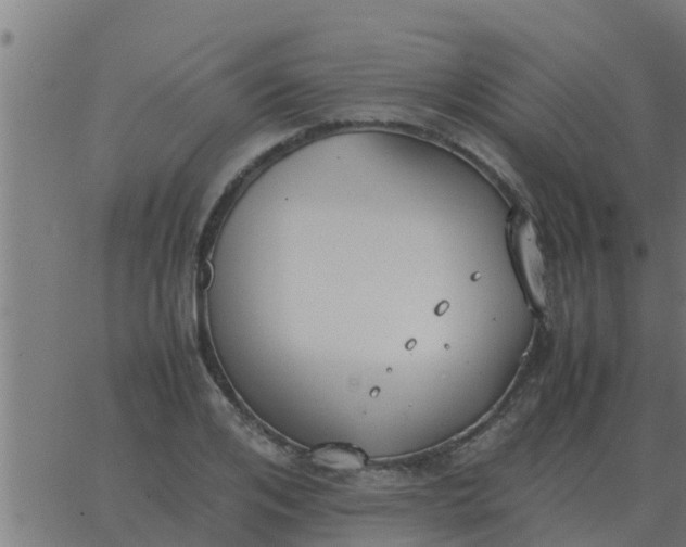 X0000062850984200601272037