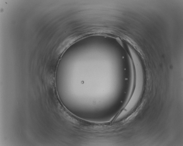 X0000062850985200601272037