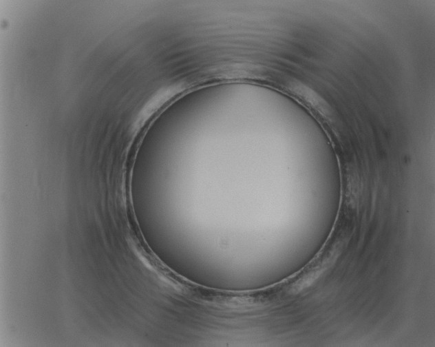 X0000062850986200601272037