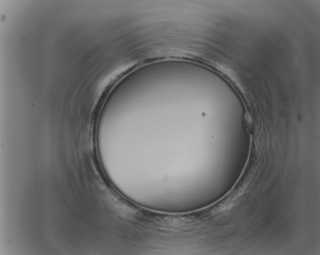 X0000062850987200601272037